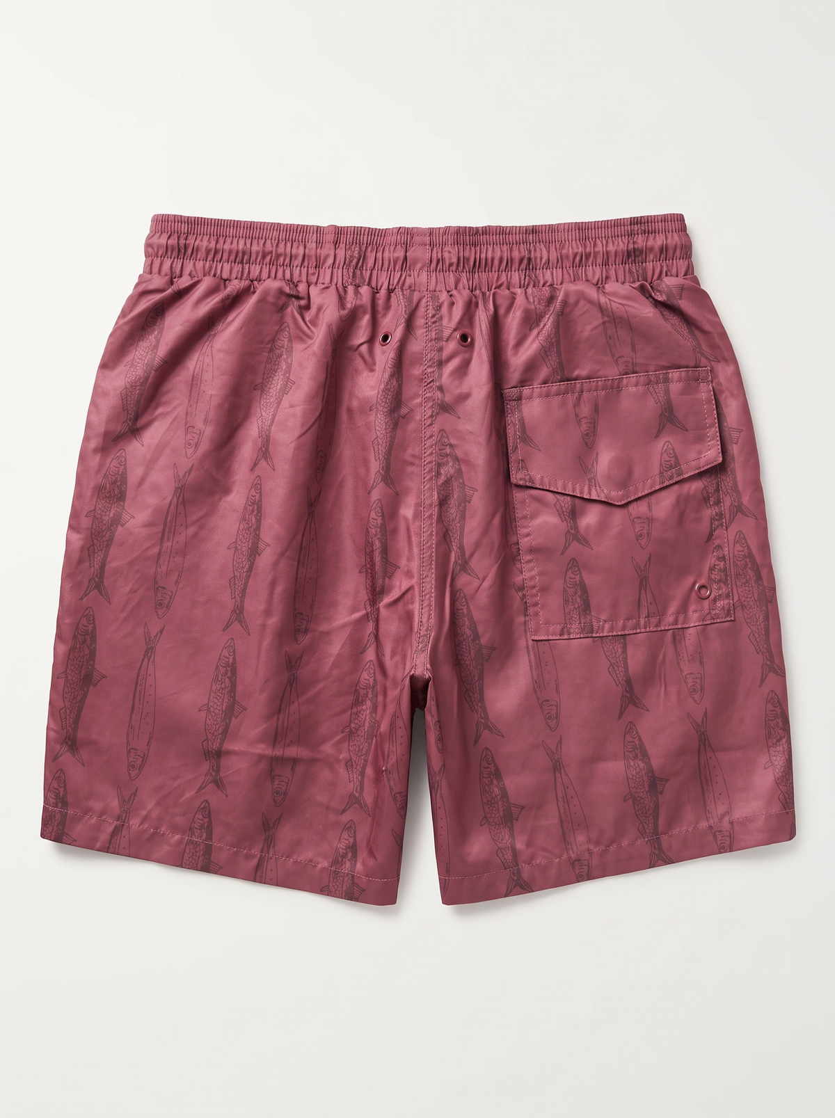 Phill Boardshort Pez
